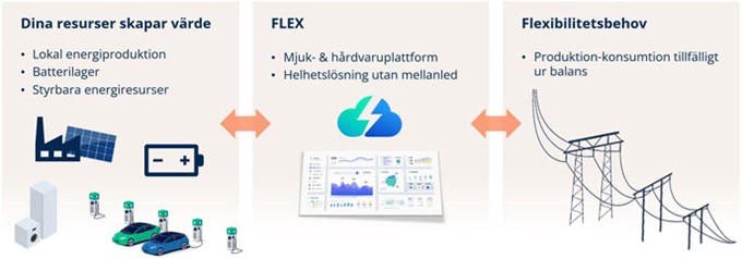 Illustration som visar hur dina resurser kopplas mot mjukvaruplattformen Flex.