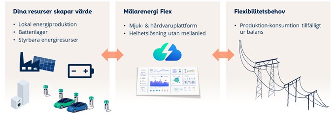 Illustration som visar hur dina resurser kopplas mot mjukvaruplattformen Flex.